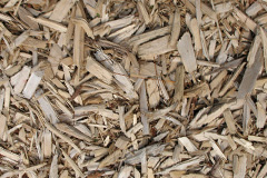 biomass boilers Birichen