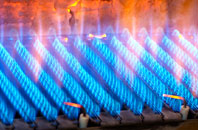 Birichen gas fired boilers